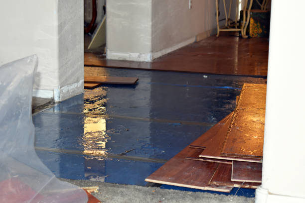 Professional Burst Pipe Cleanup technician working in Lisbon, NH